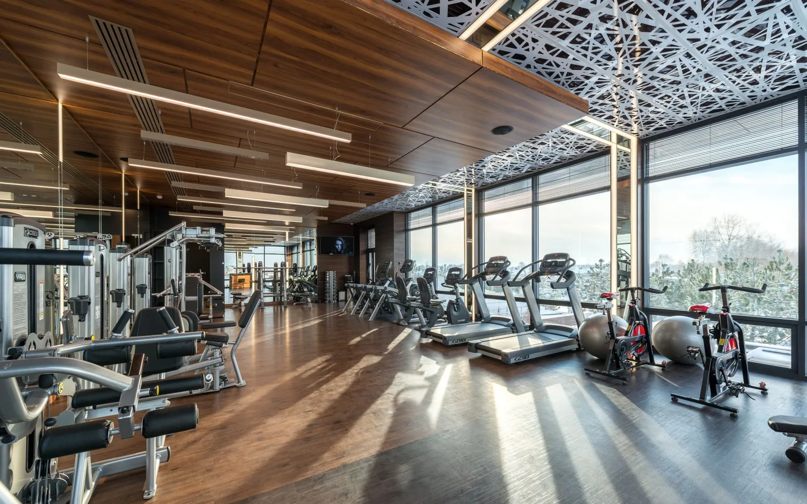 Pulse Fitness